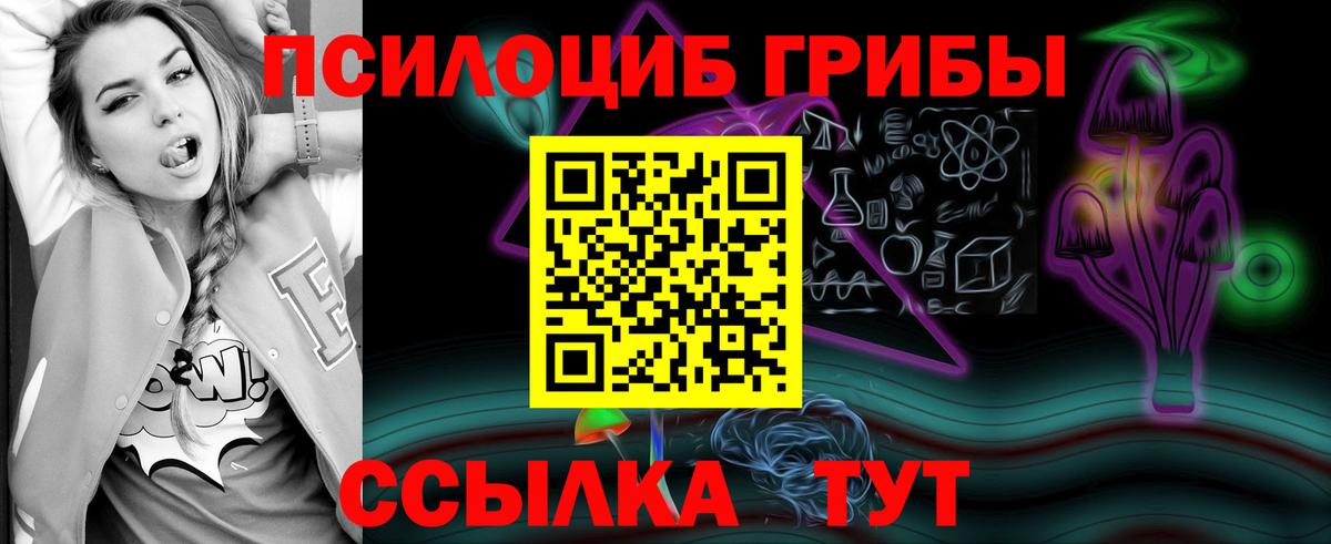 Псилоцибиновые грибы мухоморы Кольчугино